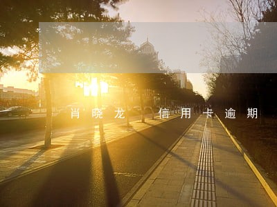 肖晓龙 信用卡逾期 肖晓龙 信用卡逾期
